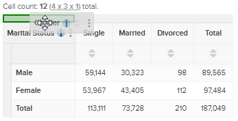 Dragging the Gender field onto the columns
